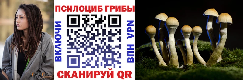 Псилоцибиновые грибы мухоморы  Купить  Конаково 